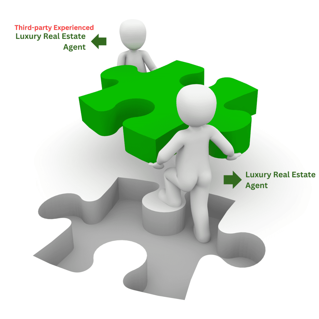 An illustration showing luxury real estate agents collaboration wiht other luxury real estate agent to close a dael.