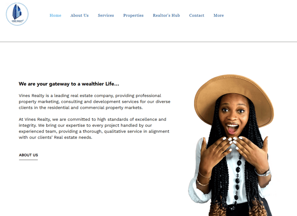 Vine Realty Website Homepage - Real Estate Companies in Lagos